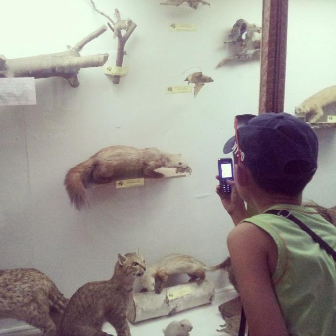 Открытие выставки для детей в зоологическом музее
