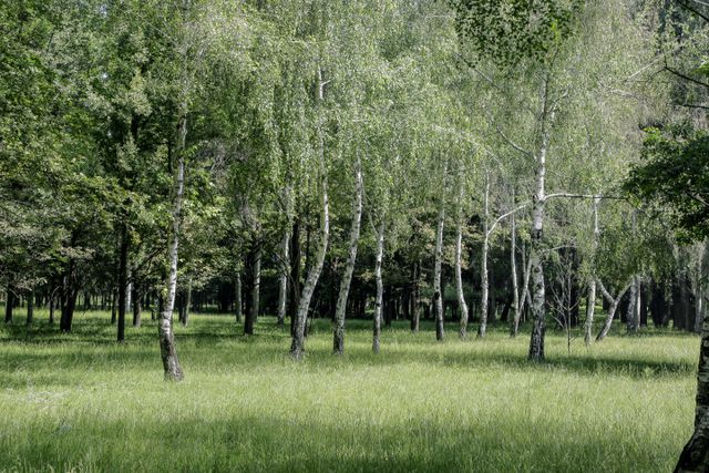 Четвертая эко-акция «ТазаБИШ»
