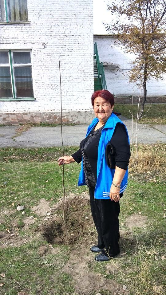 Посадка саженцев