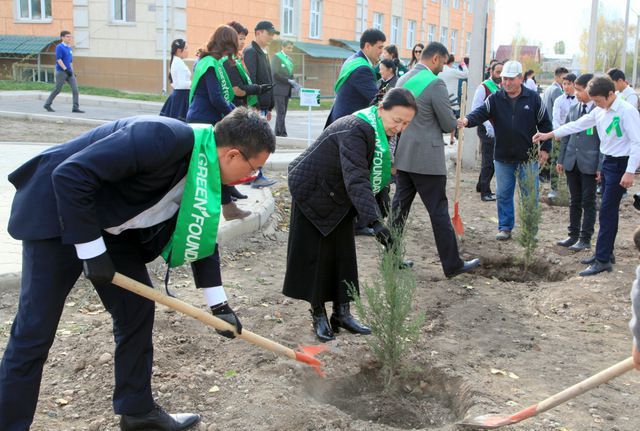 Посадка саженцев