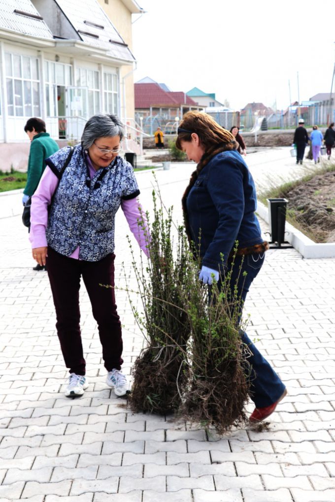 Посадка саженцев в детских садах