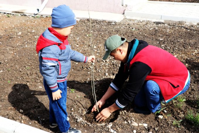 Посадка саженцев в детских садах