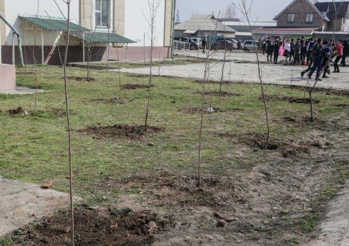 «Зеленый Бишкек – озеленение пришкольных участков». Акция 3 апреля 2015 года
