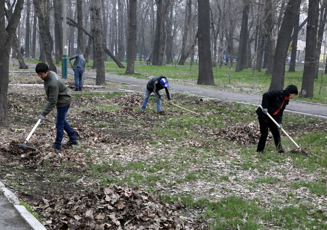 «ТазаБИШ» стартовал!