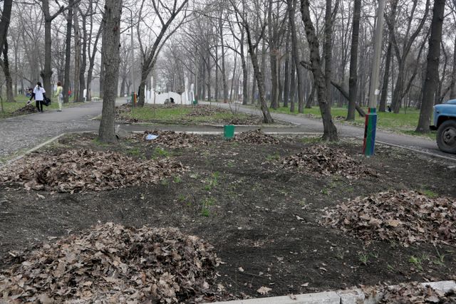 «ТазаБИШ» стартовал!