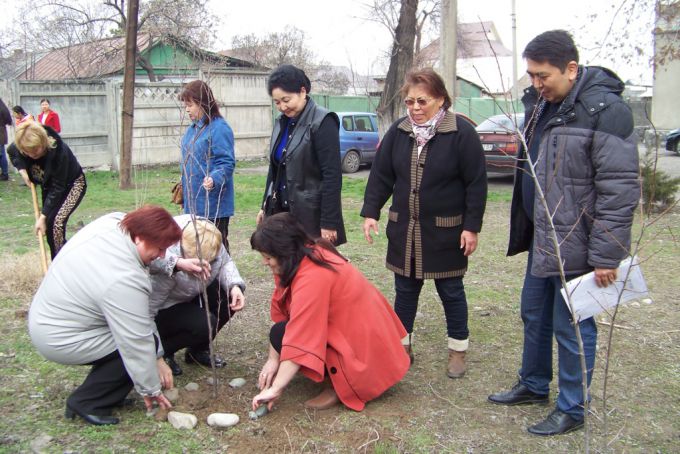 Озеленение пришкольных участков. 4 апреля 2015 года