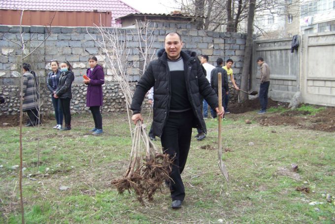 Озеленение пришкольных участков. 4 апреля 2015 года