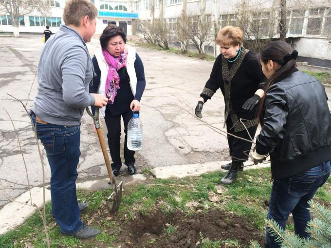 Озеленение пришкольных участков. 4 апреля 2015 года